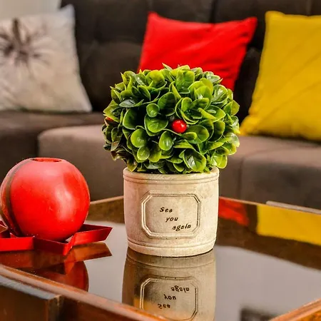 Tomas Апартаменти Скоп'є